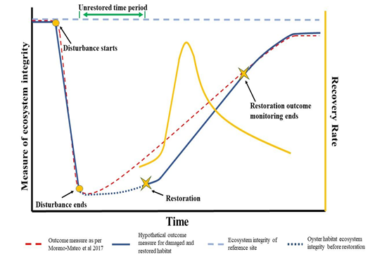 圖二：『復原債務』的理論模型。紅色虛線代表不須修復結構的生境；藍色虛線則代表須要修復的蠔礁；黃線代表生態系統復原率——雖然復原速率逐漸放緩，但生態系統完整性仍舊穩步提升。（此圖片修改自本研究論文中的圖像。）
 